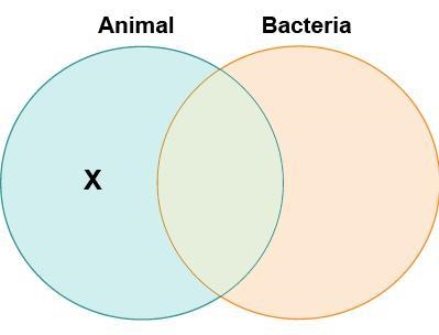 Chad drew a diagram to compare animal cells and bacterial cells. Which label belongs-example-1