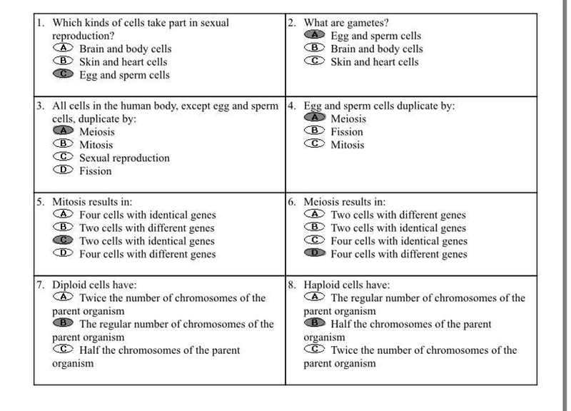 Are these the correct answers?-example-1