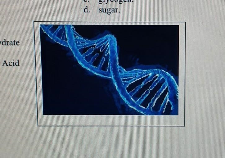 What biomolecule is this? a. Carbohydrate b. Lipid c. Nucleic Acid d. Protein​-example-1