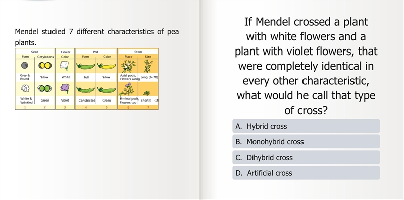 Mendel crossing plants problem : which one is the answer and why?-example-1