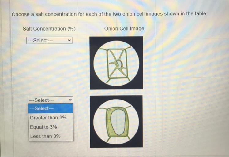 Students investigate how onion cells react to salt (NaCl) solutions of different concentrations-example-1