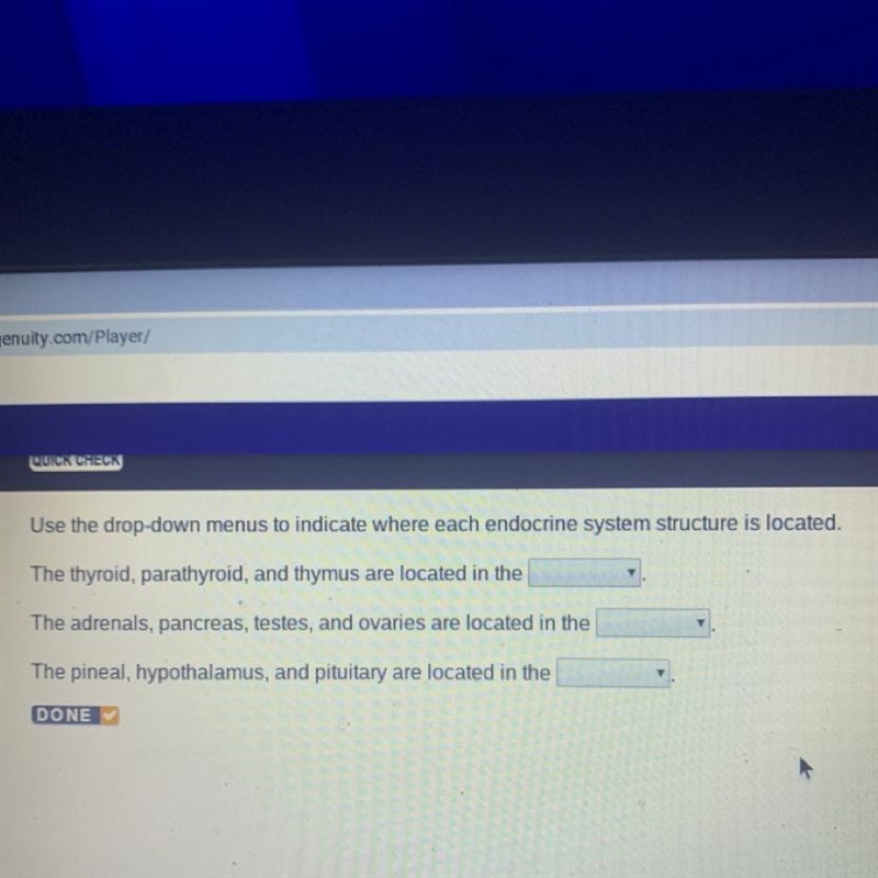 Use the drop-down menus to indicate where each endocrine system structure is located-example-1