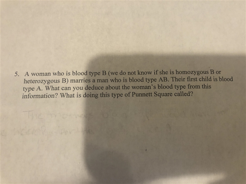 Please help!! Punnett squares-example-1