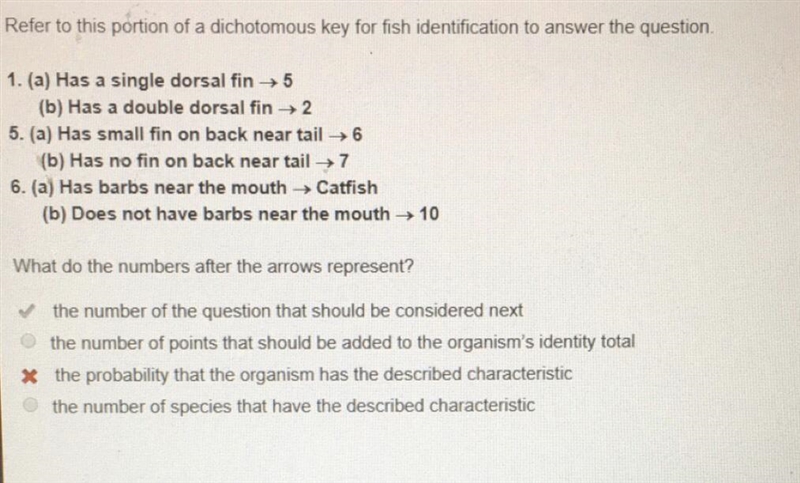 Refer to this portion of a dichotomous key for fish identification to answer the question-example-1