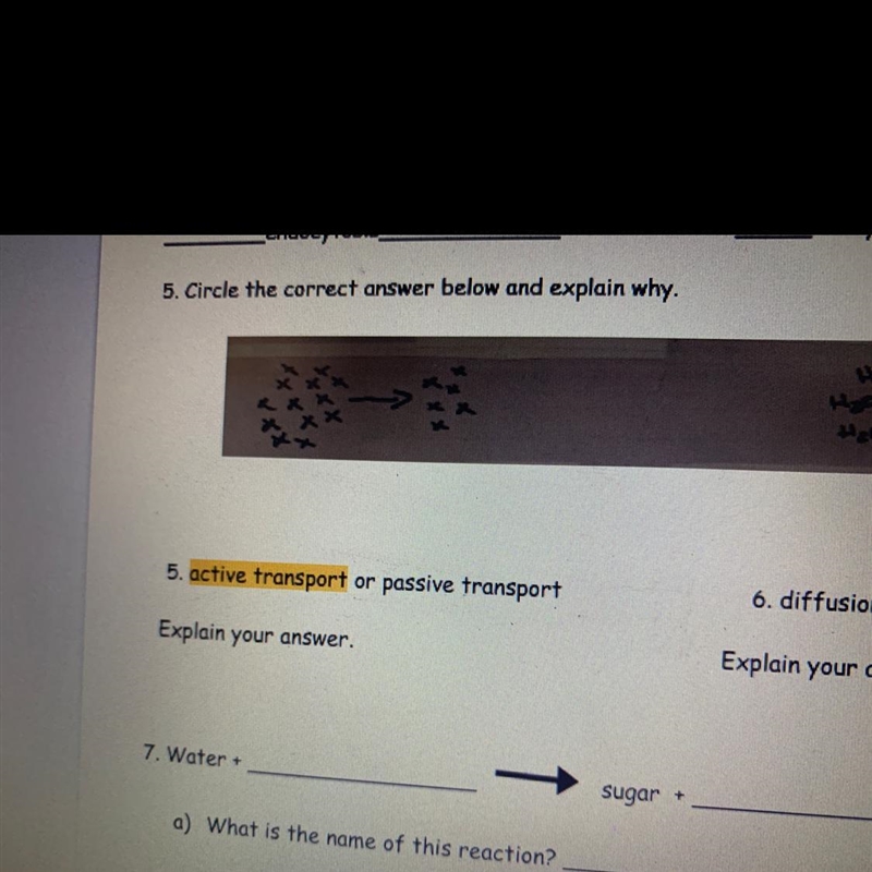 Active transport or passive transport-example-1