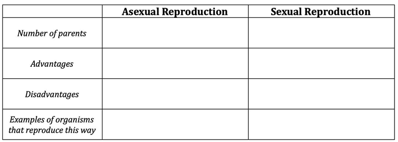 Complete the chart below:-example-1