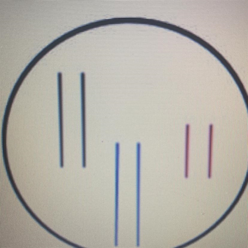 Which of the following is NOT true about this cell? A.) The haploid number would be-example-1