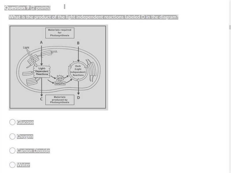 MORE BIOLOGY QUESTIONS MAN HELPPPPPPPPPPPP PLSSSSSSSSSSSSSS-example-2