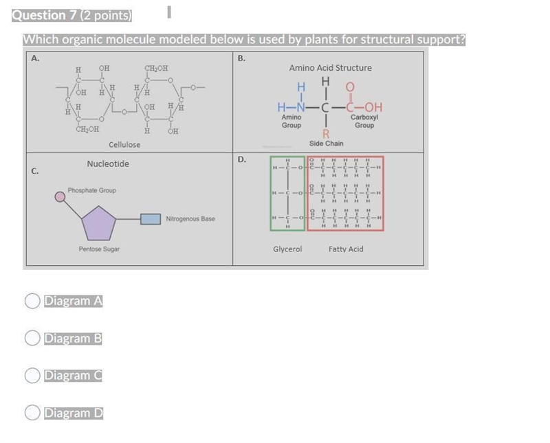 MORE BIOLOGY QUESTIONS MAN HELPPPPPPPPPPPP PLSSSSSSSSSSSSSS-example-3