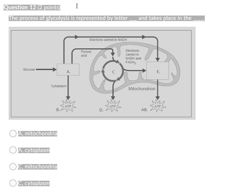 MORE BIOLOGY QUESTIONS MAN HELPPPPPPPPPPPP PLSSSSSSSSSSSSSS-example-5