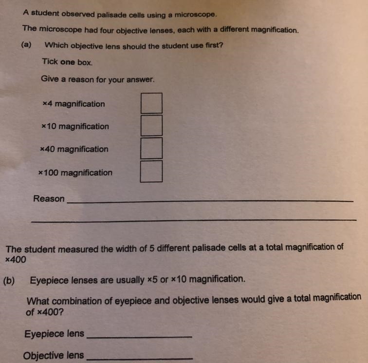 Someone pls help with this-example-1