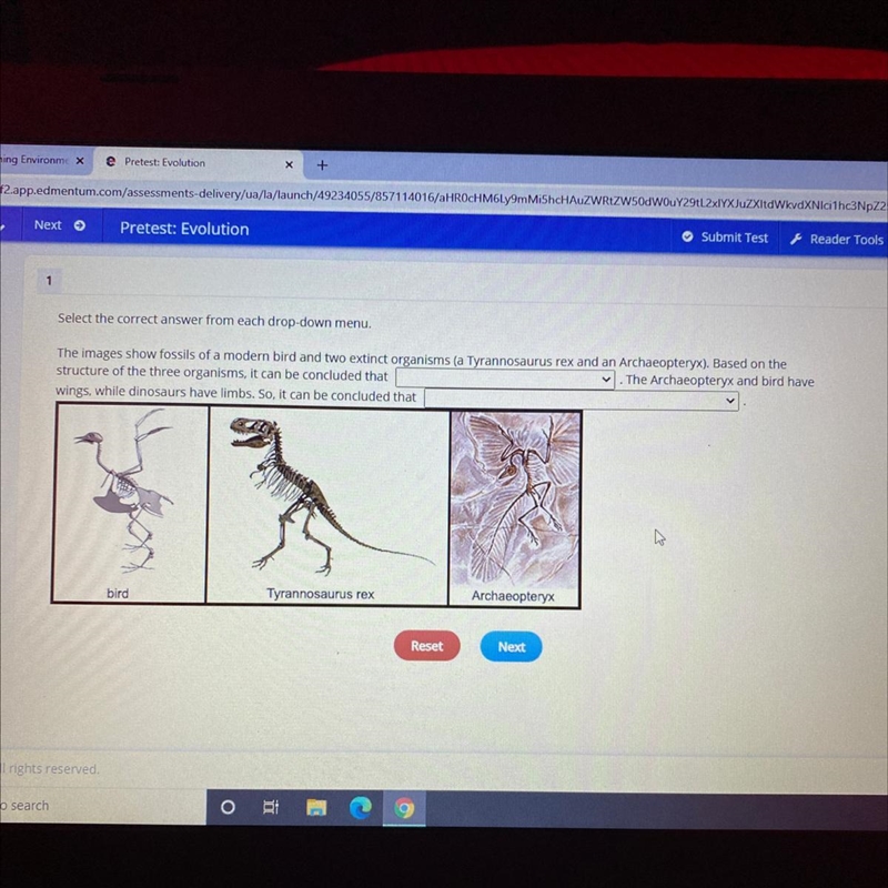 Select the correct answer from . The images show fossils of a modern bird and two-example-1