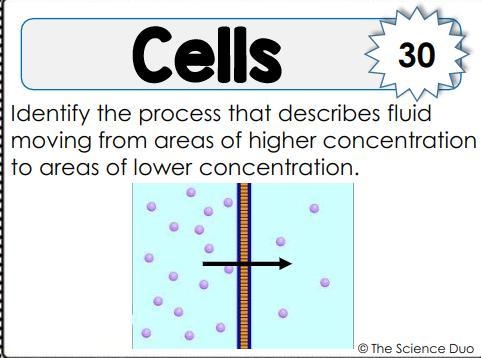 Identify the process that describes fluid moving from areas of higher concentration-example-1