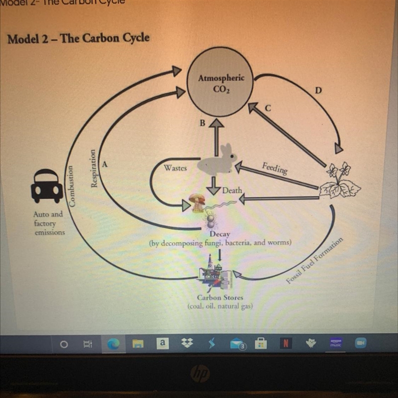 Pls helpppp: list any chemical process other then photosynthesis and respiration-example-1