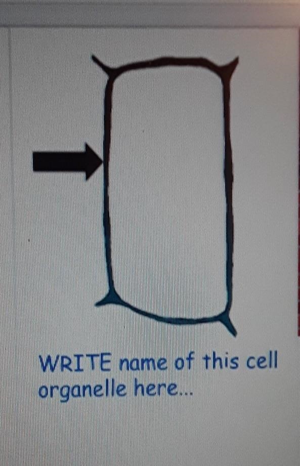 WRITE name of this cell organelle here... ​-example-1