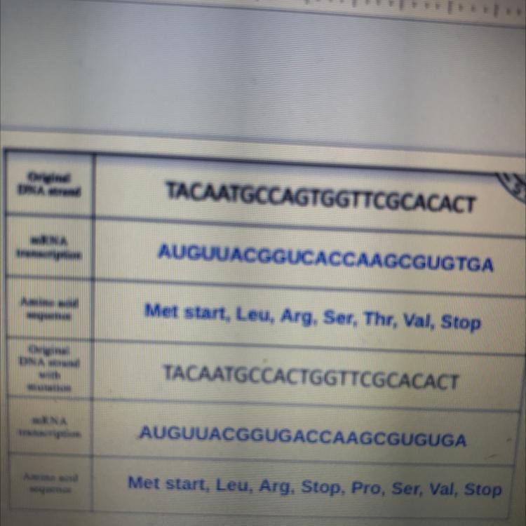 Identify the type of mutation that occurred and explain in what way it affected the-example-1