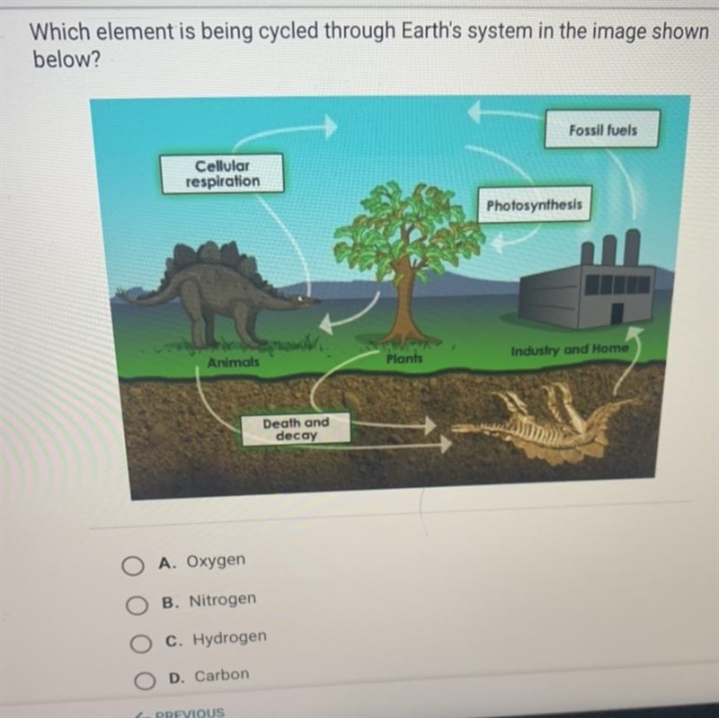 Which element is being cycled through Earth's system in the image shown below? Fossil-example-1