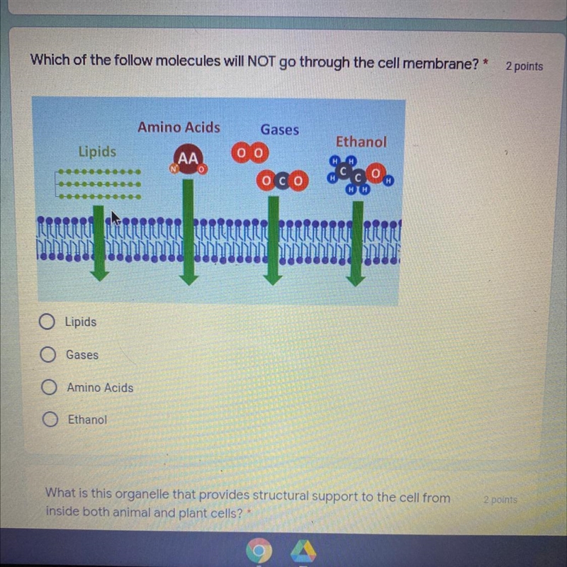 Please help idk what the answer is-example-1