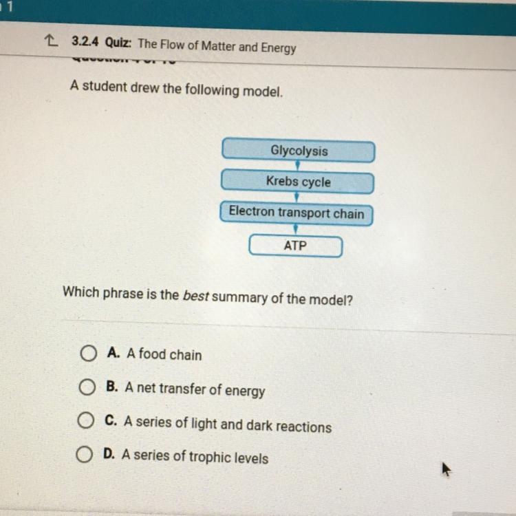 A student drew the following model. Glycolysis Krebs cycle Electron transport chain-example-1