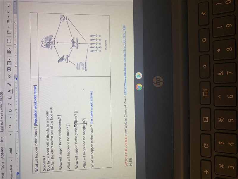 Food web Due to the flood half of the plants are gone Explain the effect on the rest-example-1