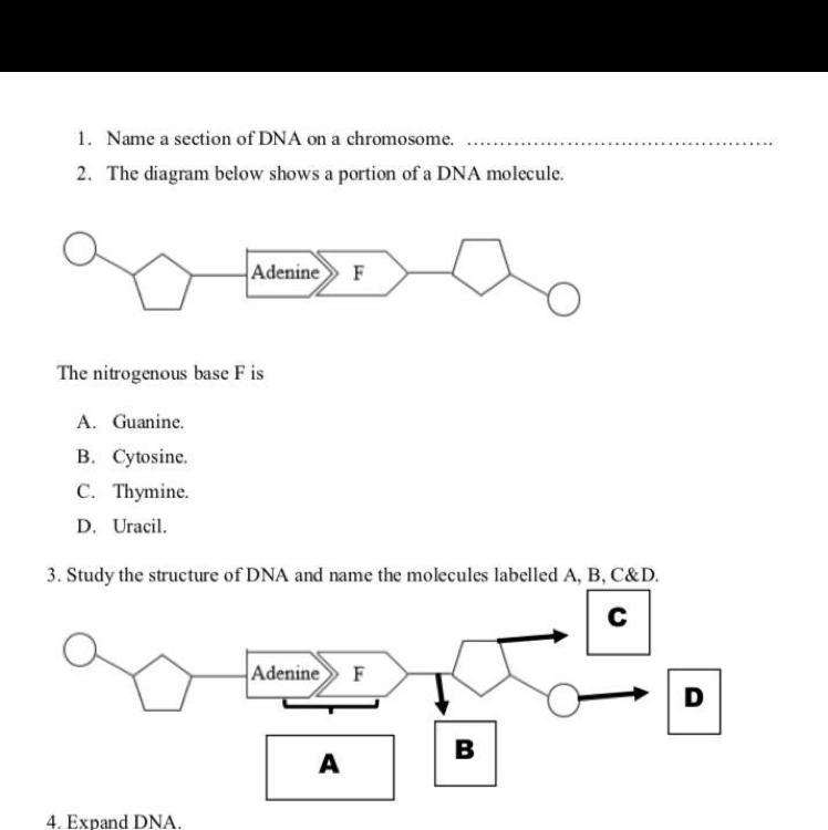 Can anyone me me please to solve this question-example-1