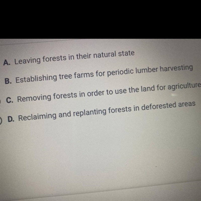 A native forest is complex and biodiverse. Once disturbed, it is impossible to replace-example-1