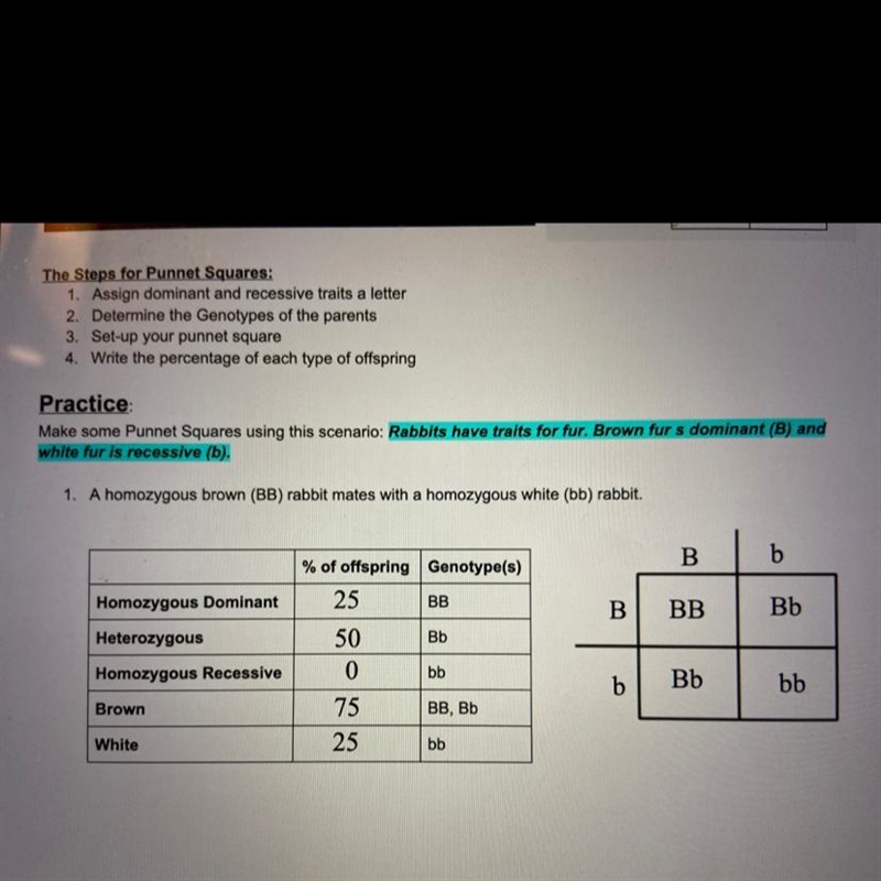 Dose anyone know if I did this right??-example-1