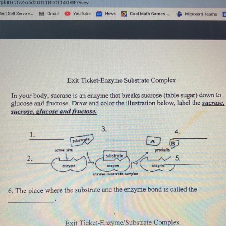 i don’t understand the layout and what it’s asking. what is number 1 asking me to-example-1