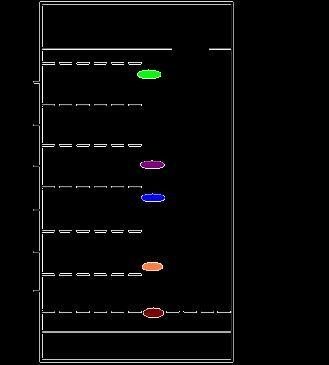 In this chromatographic experiment, the solvent traveled 6 centimeters. For each band-example-1