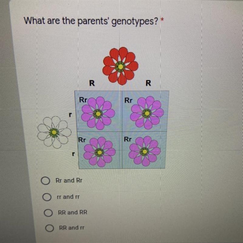 What is the answer here?-example-1