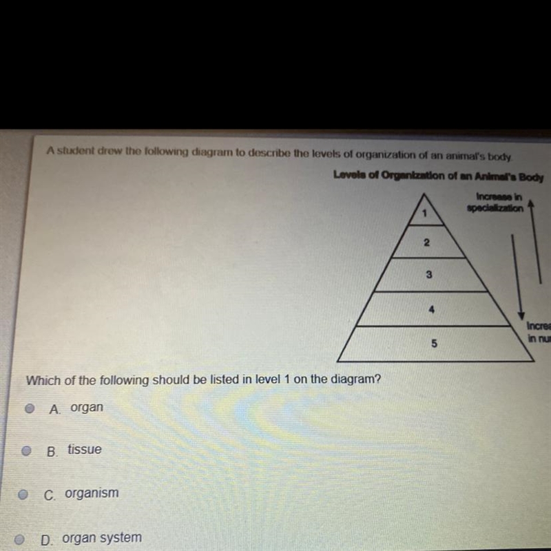 Does anyone know the answer i really dont get it-example-1