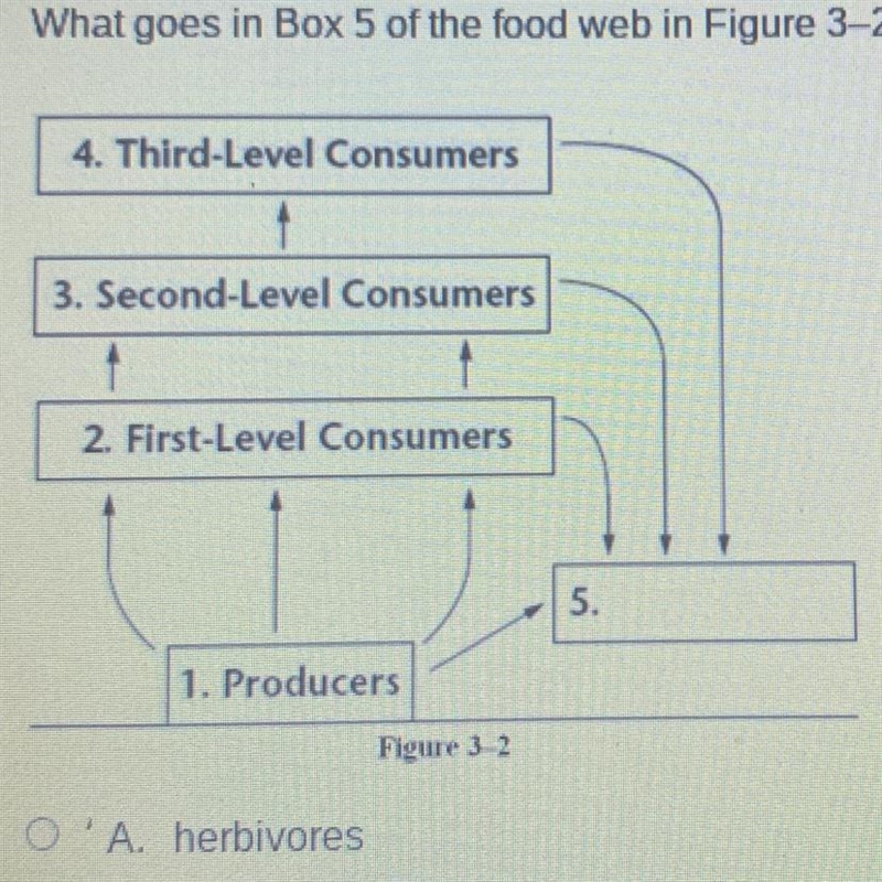 What goes in Box 5 of the food web in Figure 3-2? A) herbivores B) scavengers C) carnivores-example-1