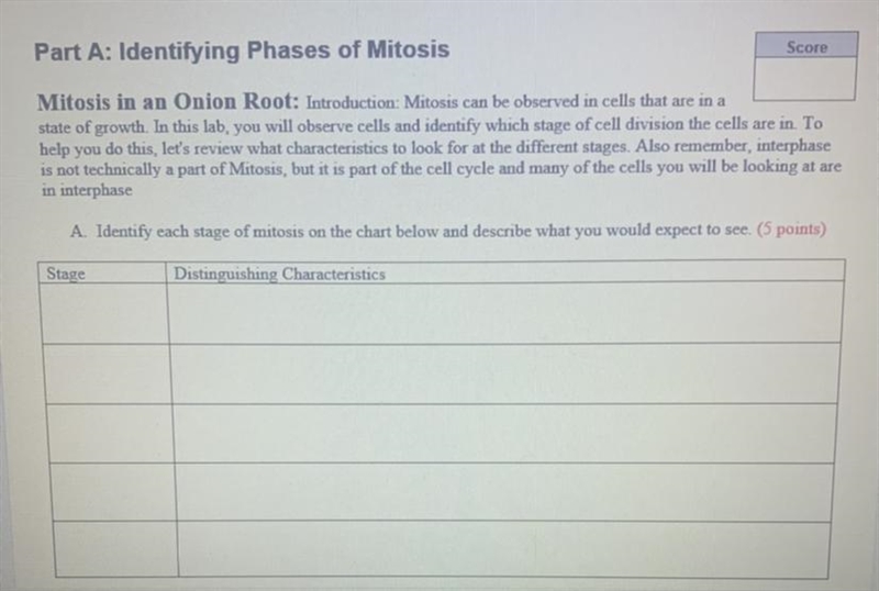 Please help me ASAP ASAP DOES ANYONE KNOW THE answers to the 3.25 Mitosis Lab? IF-example-1