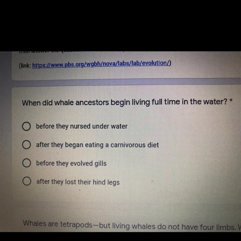 PLEASE HELP ME ! When did whale ancestors begin living full time in the water? A) before-example-1