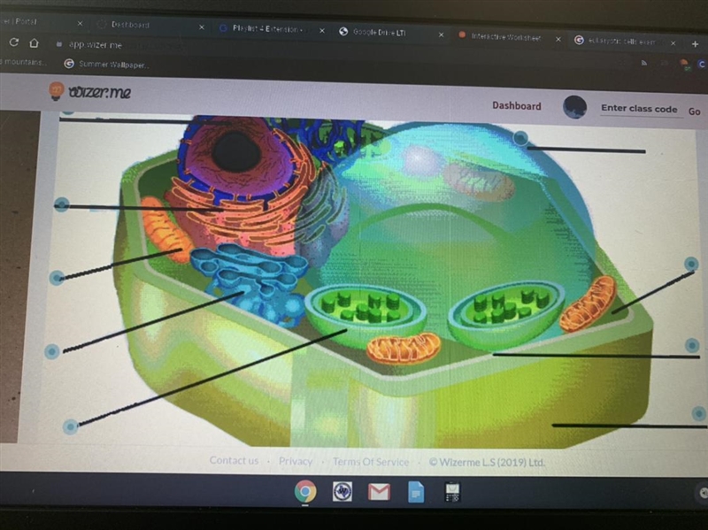 Fill in each definition for this cell! Please help-example-1