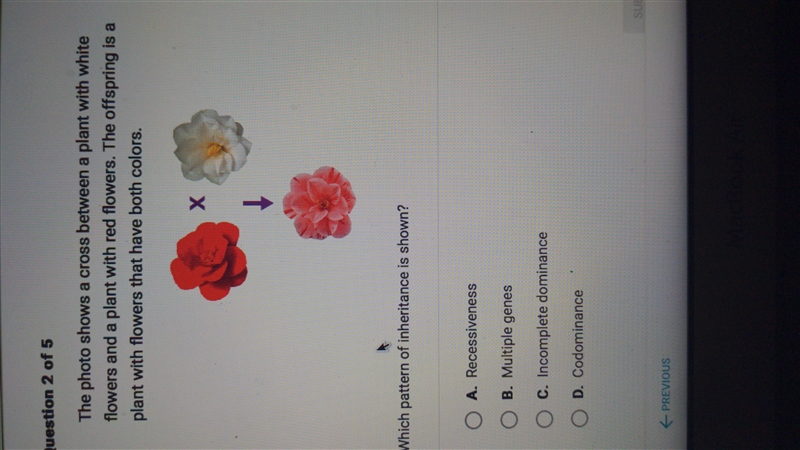 Which is correct Science-example-1