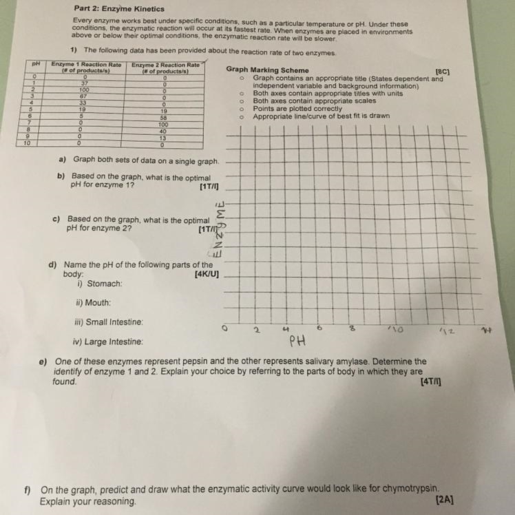 Hi, can somebody please explain this activity to me and what do I do for the graph-example-1