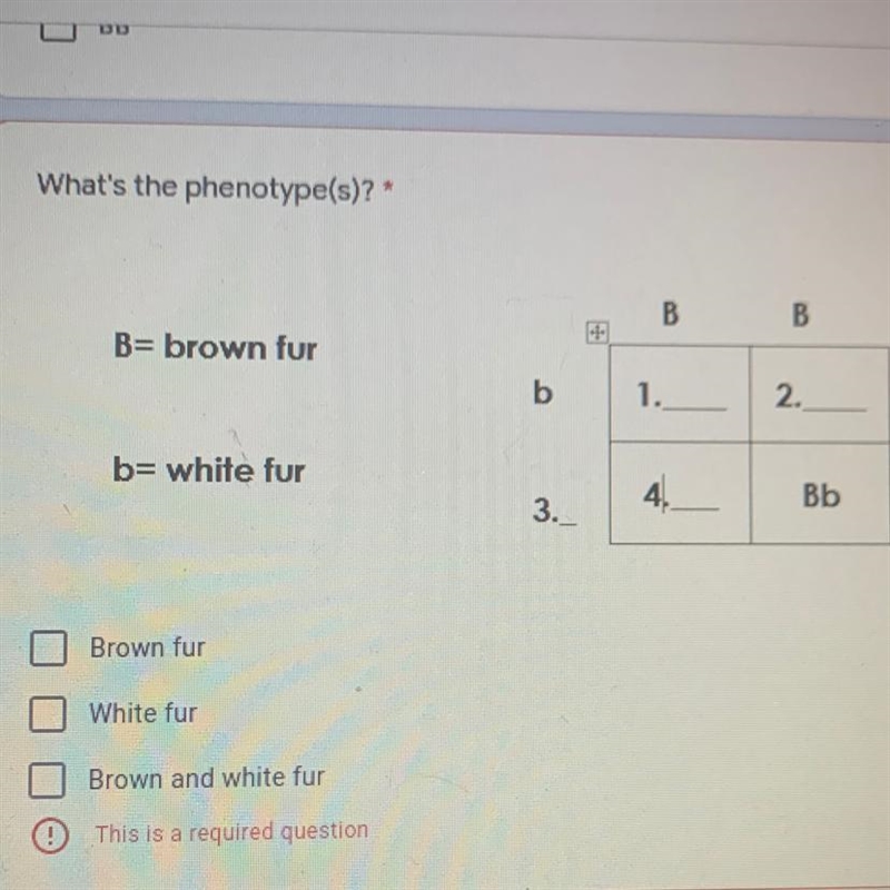 What's the phenotype(s)? (Please help me answer the question in the picture)-example-1