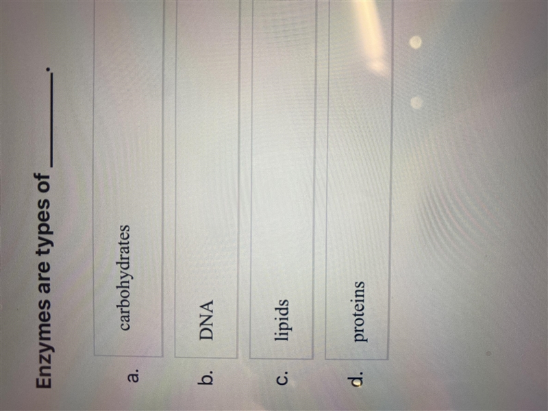 Enzyme are types of?-example-1