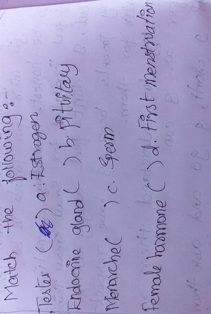 3. Menarchel 1. Tester C a Estrogen and 2. Endocrine oland ( ) b gitustary ) 4. female-example-1