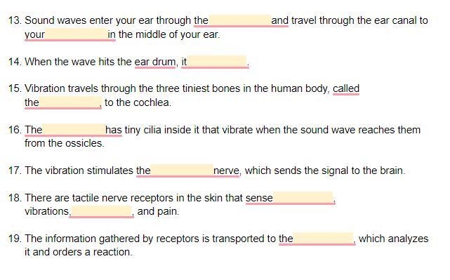 Please help!! for my physiology class...-example-1