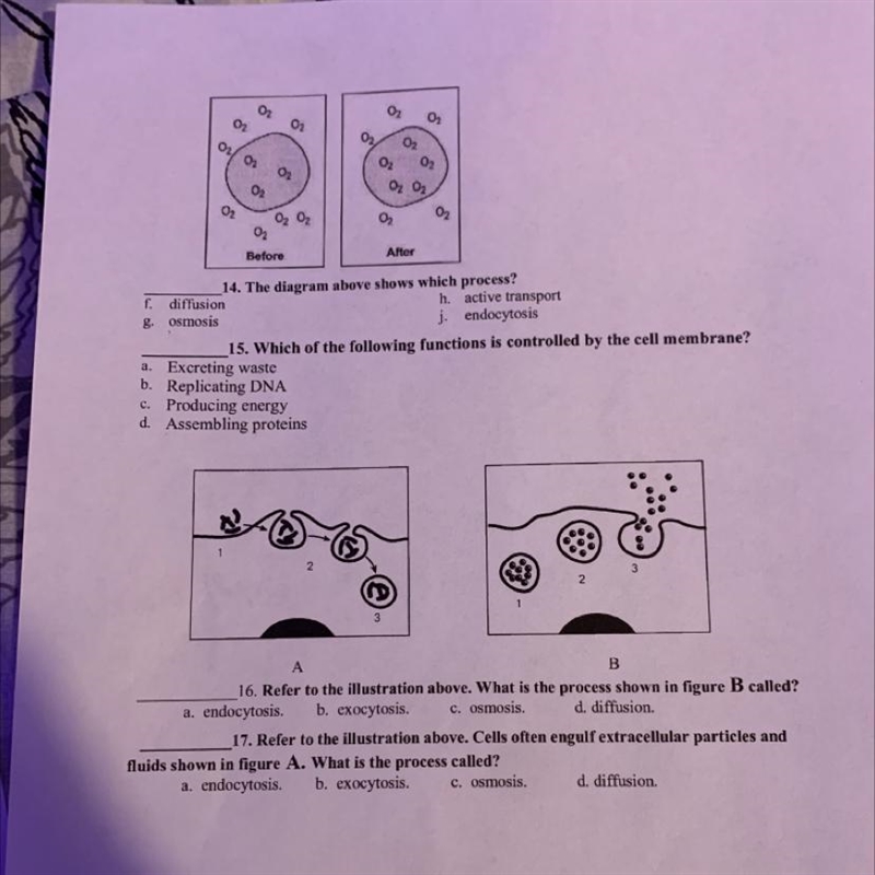 I need help please !-example-1