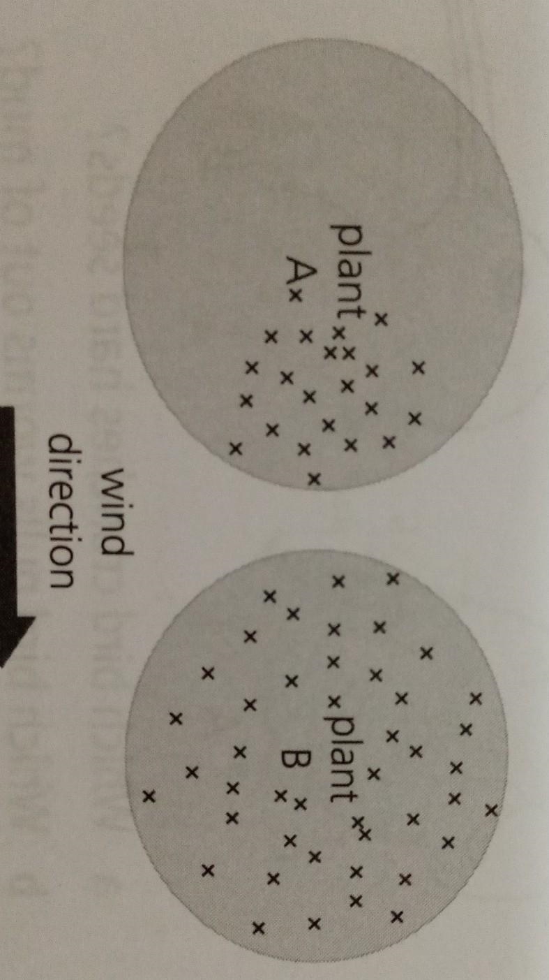 3 These diagrams show where seeds from two different plants were found A. Which plant-example-1