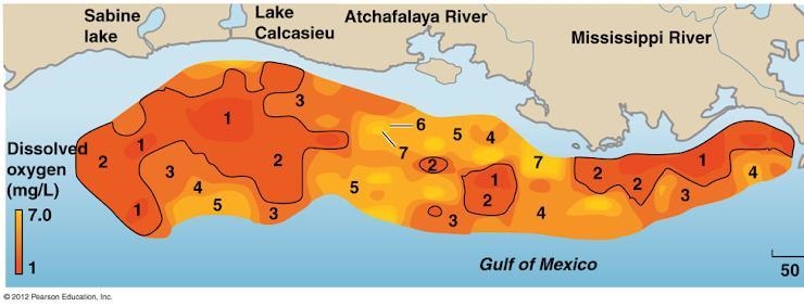 Using the diagram above, a key characteristic of aquatic dead zones is ________ and-example-1