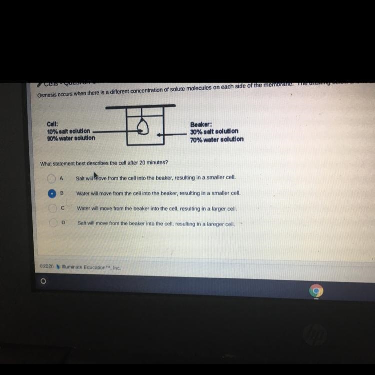 Which is the answer A B C Or D-example-1