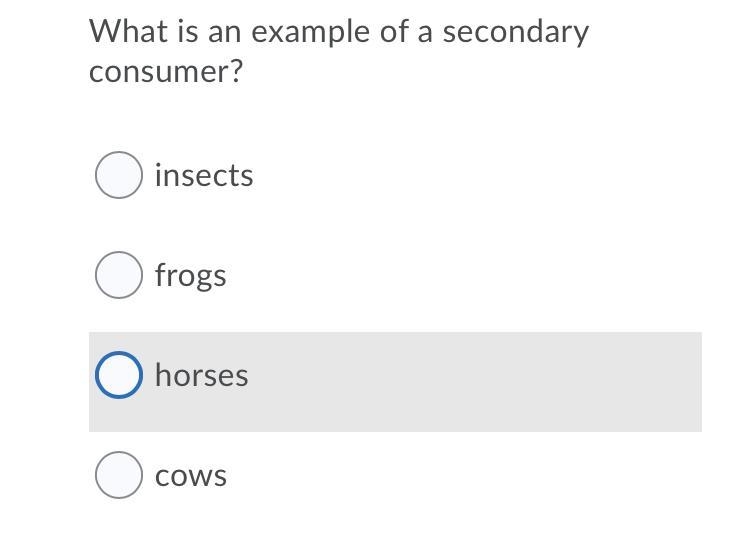 What is the answers for all these questions Science/look at pictures-example-4