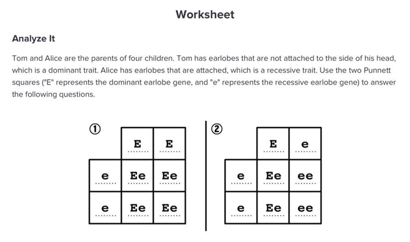 Which Punnet square allows for the possibility that Tom and Alices children have attached-example-1