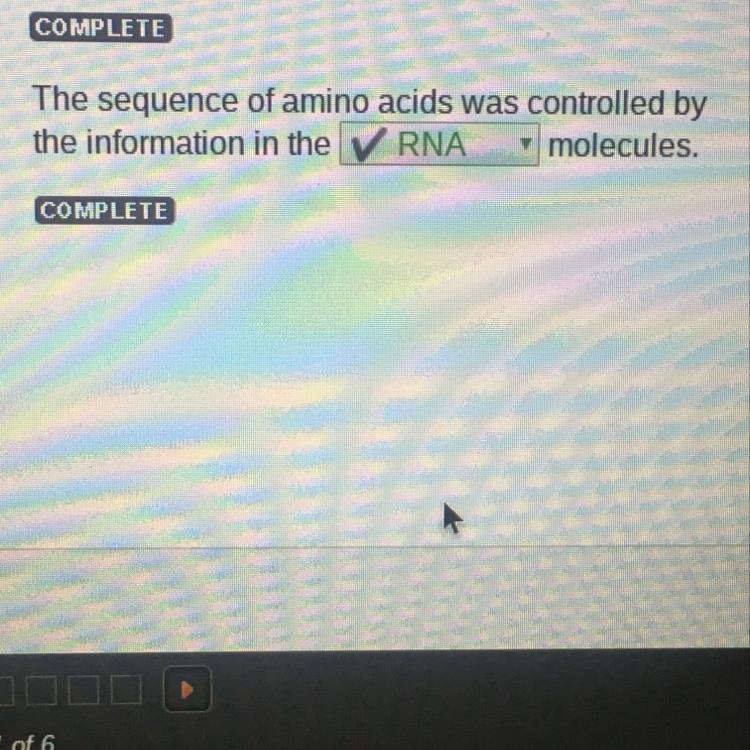 The sequence of amino acids was controlled by the information in the RNA molecules-example-1