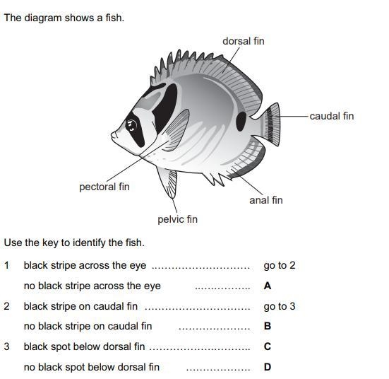 Please help answer this quickly-example-1