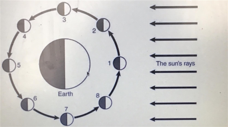 Although half of the moon is always illuminated, usually only a portion of the Illuminated-example-1